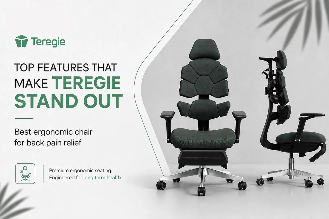 Best Ergonomic Chair